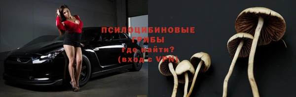 мдпв Балабаново