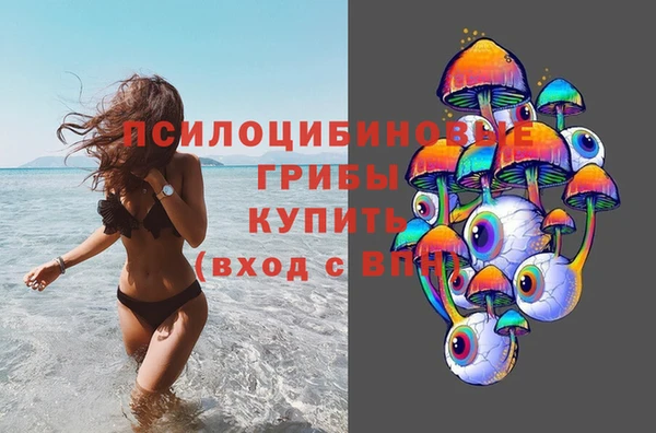 ПСИЛОЦИБИНОВЫЕ ГРИБЫ Пестово