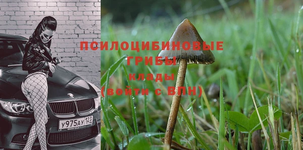 спайс Пересвет